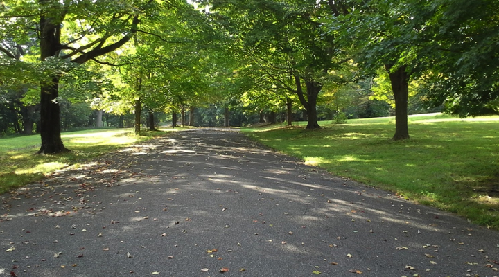 Cadwalader Park Bike Paths