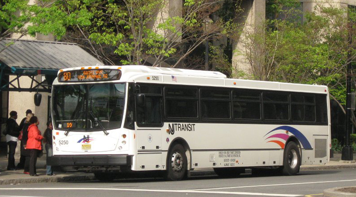 Buses, Local Transit