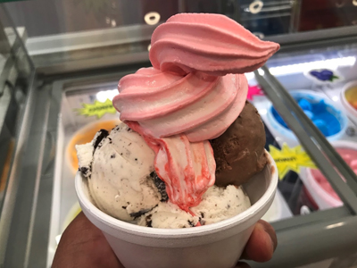 Trenton Ice Cream Parlor (TIP)